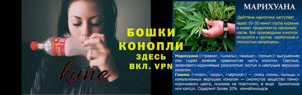 каннабис Богданович