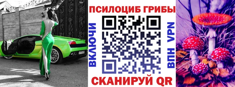 как найти закладки  Киселёвск  Псилоцибиновые грибы мицелий 